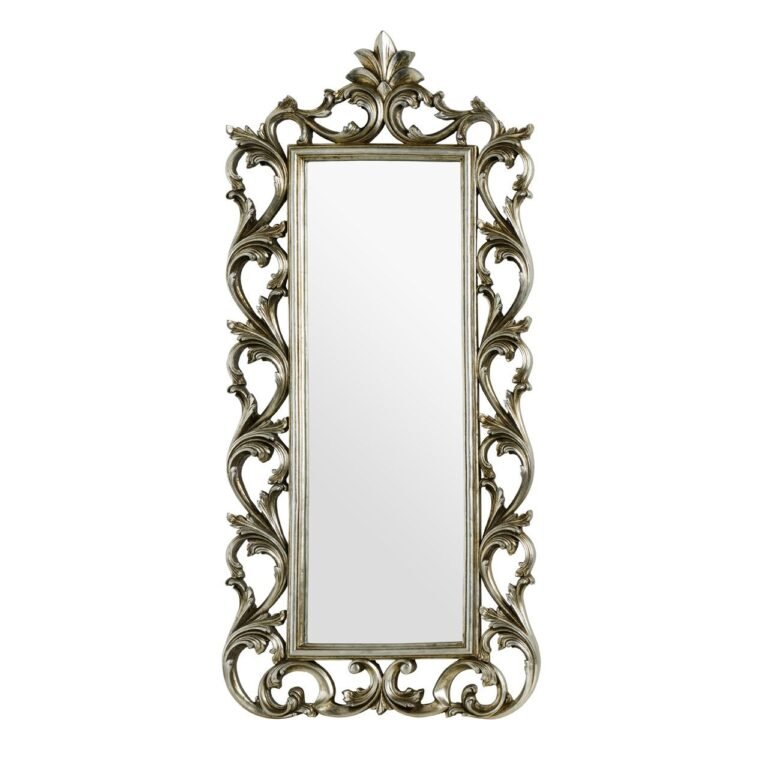 Champagne oie Wall Mirror