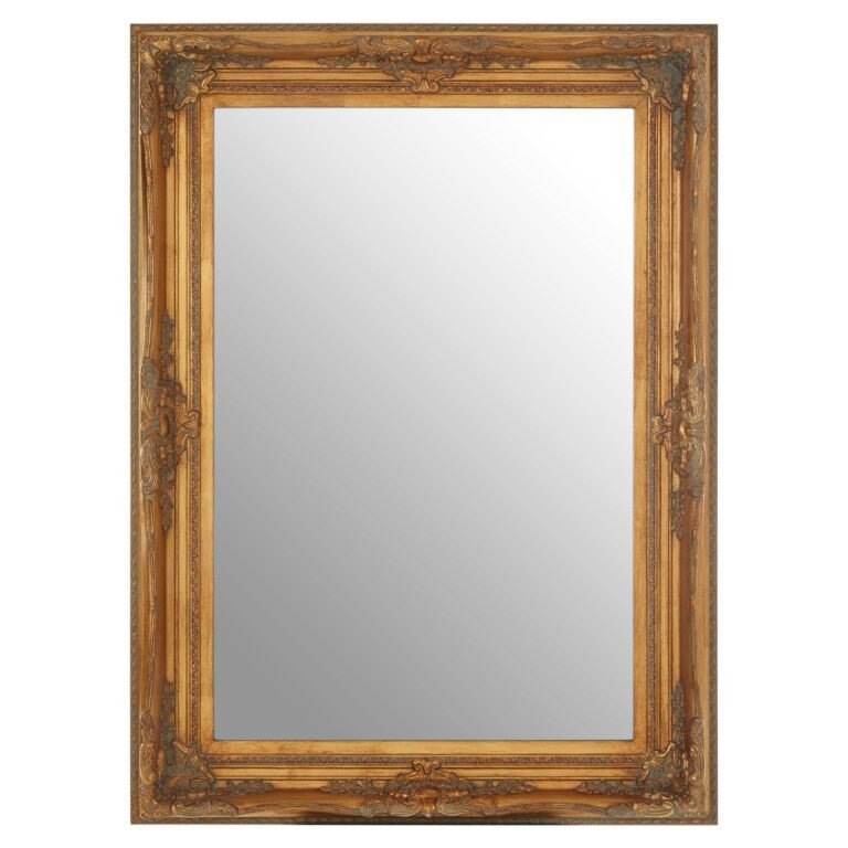Roque Rectangular Antique Gold Wall Mirror
