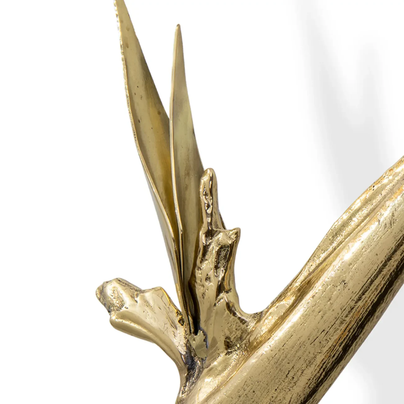 Strelitzia DOOR PULL