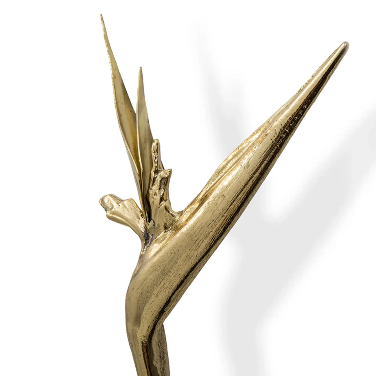 Strelitzia DOOR PULL