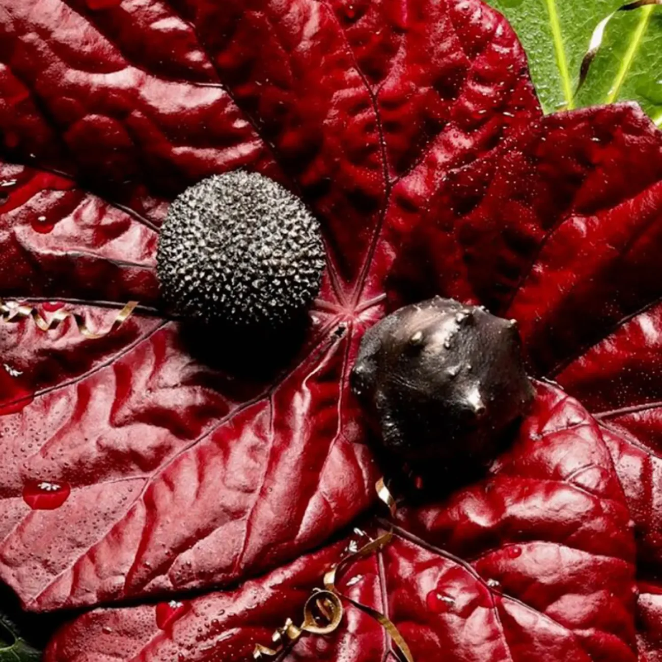 Maple DRAWER HANDLES