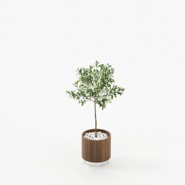 Gold little flower pot