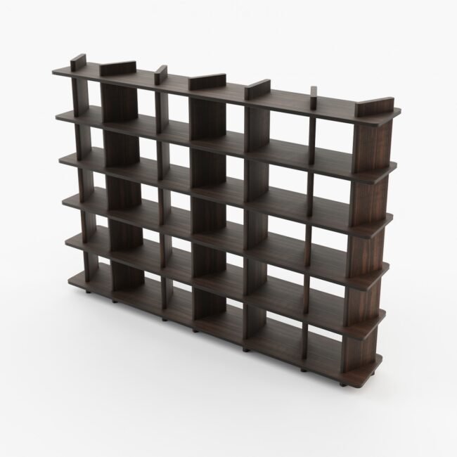 Mandela Bookshelf8