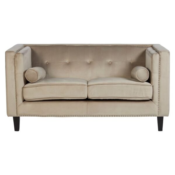 Salisa 2 Seat Mink Velvet Sofa