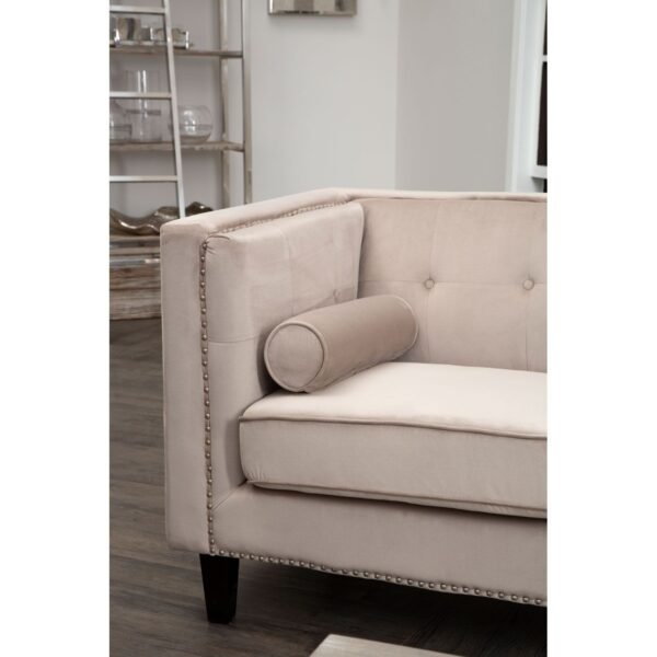 Salisa 2 Seat Mink Velvet Sofa - Image 6