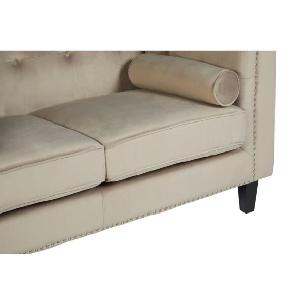 Salisa 2 Seat Mink Velvet Sofa - Image 9