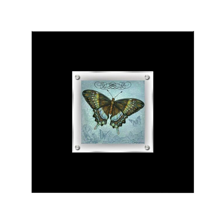 Butterfly Oie 2 Framed Wall Art