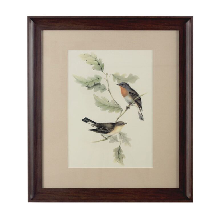 Arn Framed Birds 1 Wall Art
