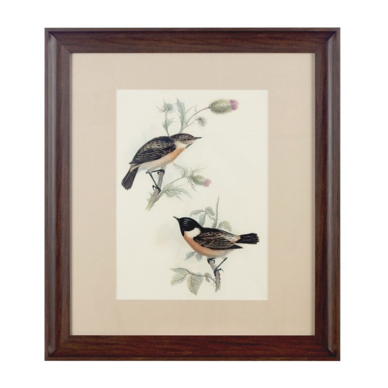 Arn Framed Birds 2 Wall Art
