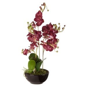 Rik Purple Orchid Plant With Black Ceramic Pot