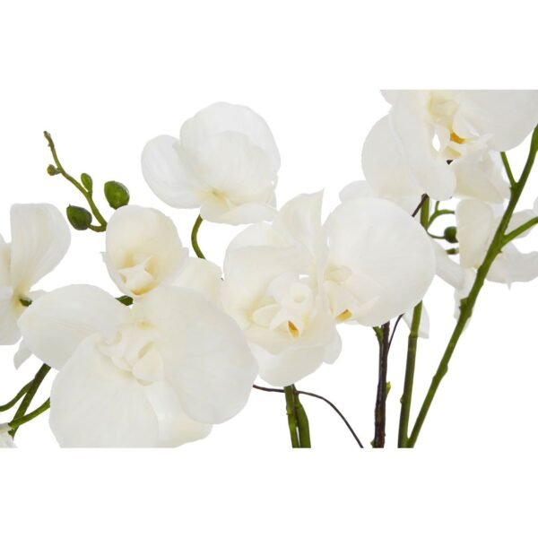 White Elm Orchid Plant With Gold Ceramic Pot - Image 2