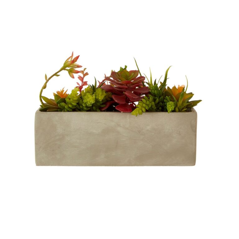 Fiorelli Mixed Succulents With Cement Pot