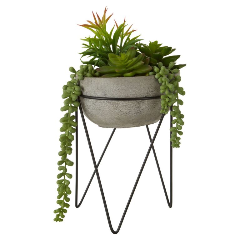 Fiorelli Mixed Succulent With Metal Stand
