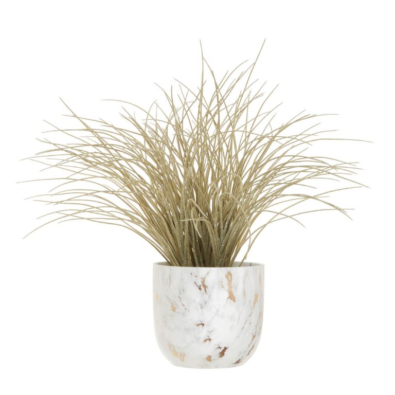 Fiorelli Grass Plant