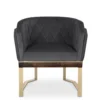 Anguis Armchair