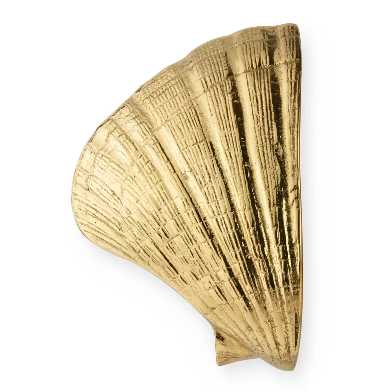 Seashell DOOR PULL