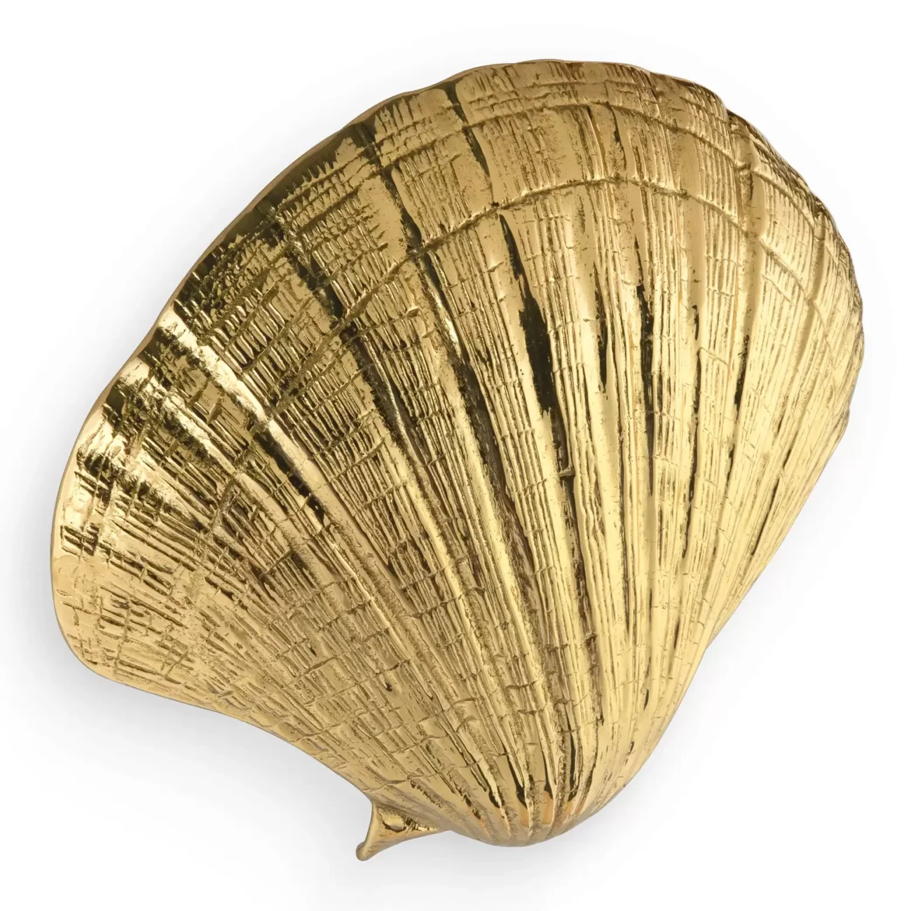 Seashell DOOR PULL