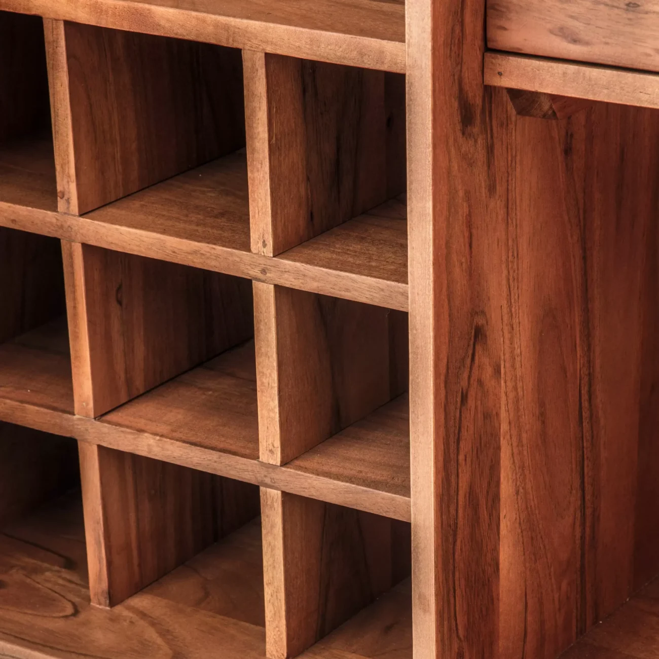 Kayama 2 Door Drinks Cabinet