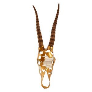 Sorrie Antelope Skull