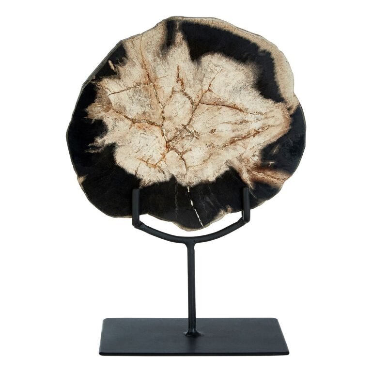 Guise Small Petrified Wood Sculpture