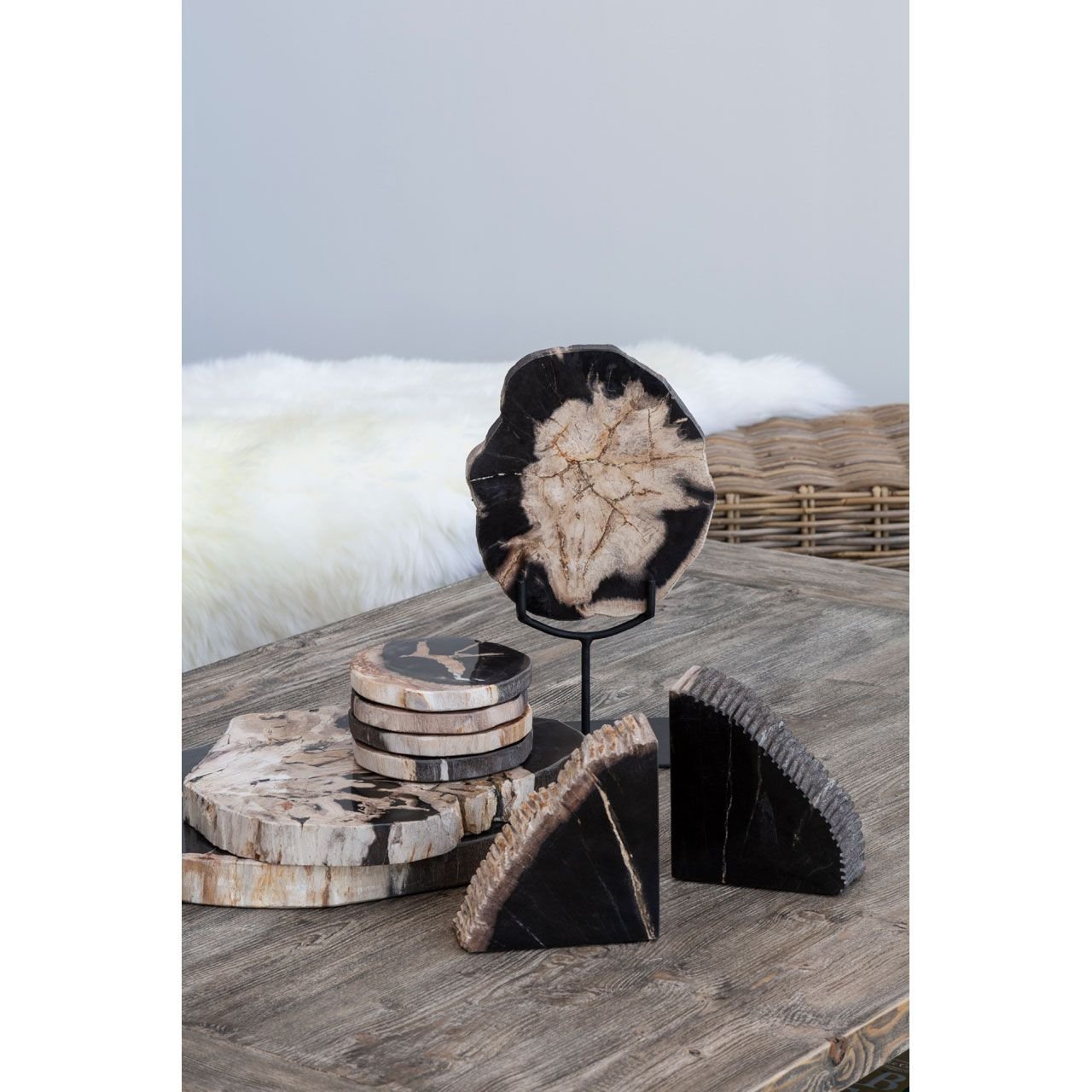 Petrified Wood Coasters (Set of 4)