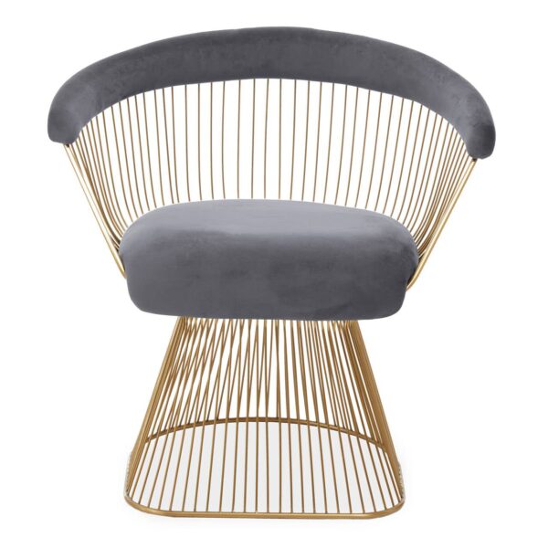 Nani Grey Velvet And Brushed Gold Chair