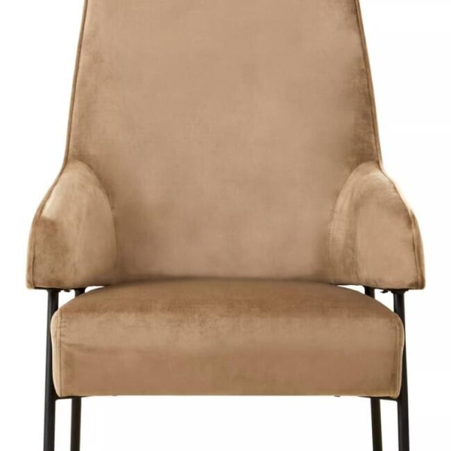 Ashbury Mink Velvet Chair