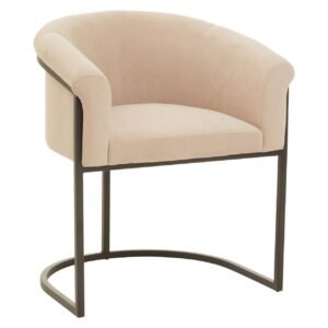 Aiste Mink Velvet and Matte Black Chair