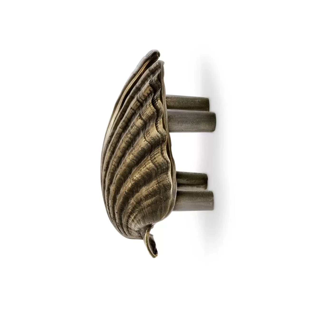 Seashell DRAWER HANDLES