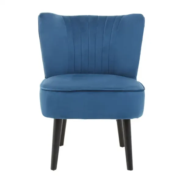 Argen Park Blue Velvet Chair1