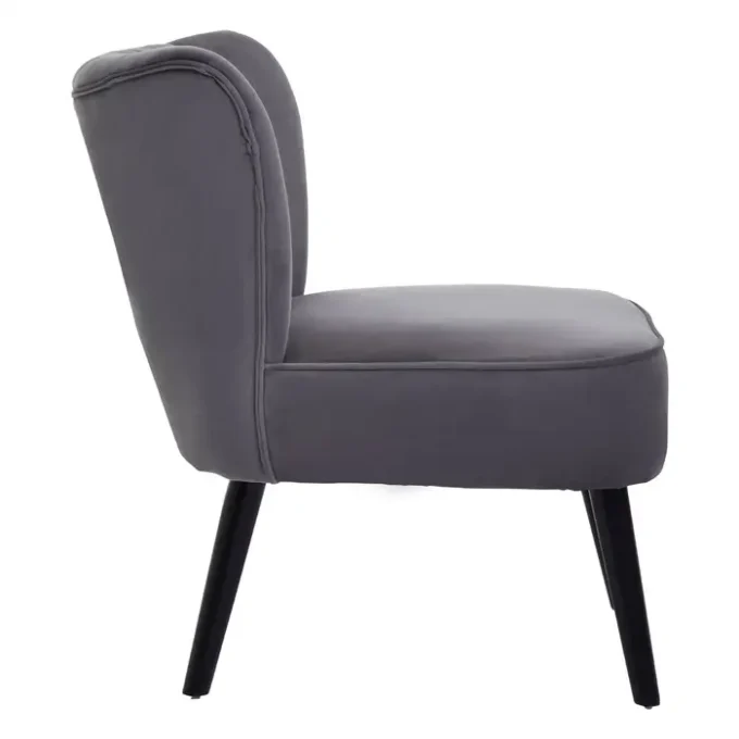 Argen Park Grey Velvet Chair2