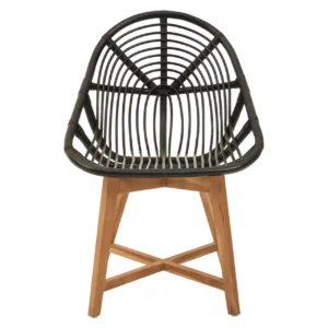 Ashburton Black Natural Rattan And Teak Chair