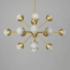 Molecule Spark Oval Chandelier Light