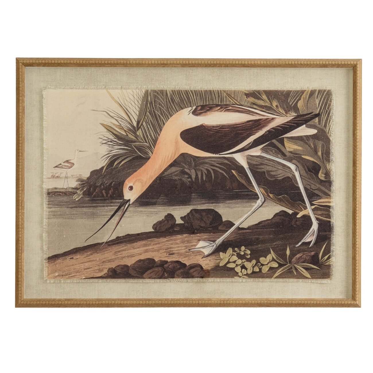 Flora & Fauna Collection Avocet On Linen In Beaded Frame Flora & Fauna Collection Avocet On Linen In Beaded Frame