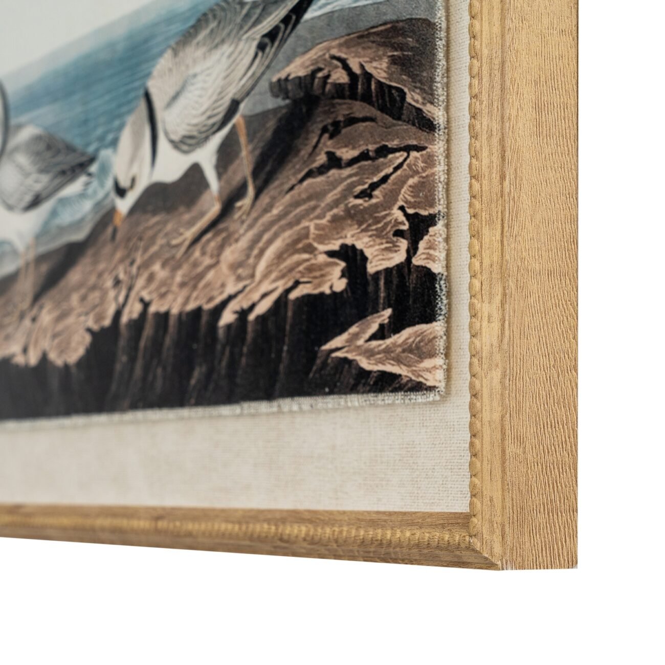 Flora & Fauna Collection Plovers On Linen In Beaded Frame