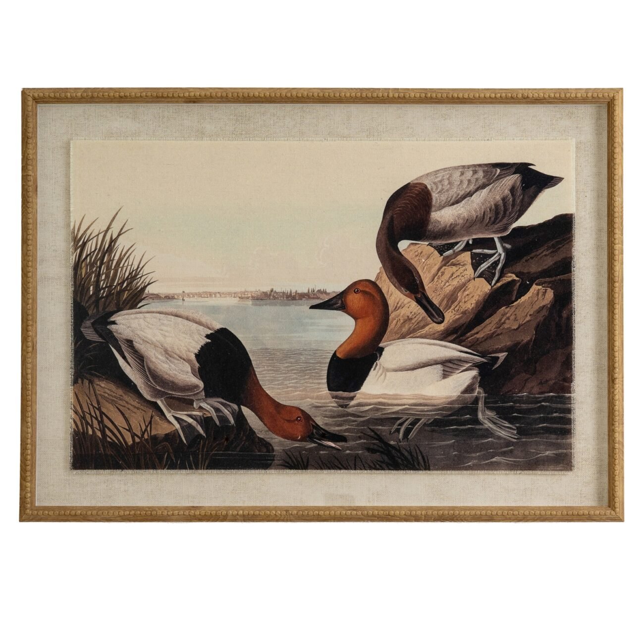 Flora & Fauna Collection Pochards On Linen In Beaded Frame Flora & Fauna Collection Pochards On Linen In Beaded Frame