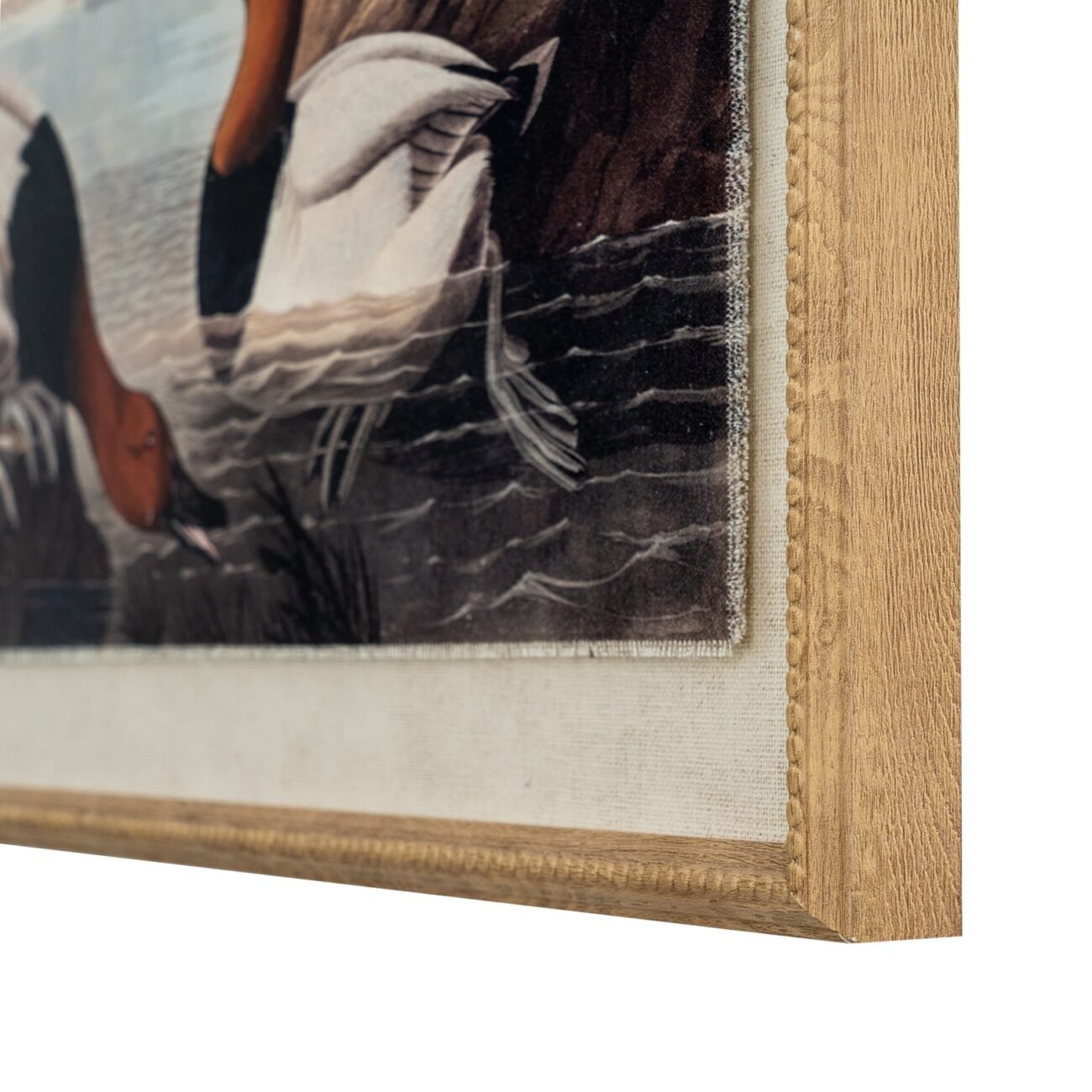Flora & Fauna Collection Pochards On Linen In Beaded Frame Flora & Fauna Collection Pochards On Linen In Beaded Frame