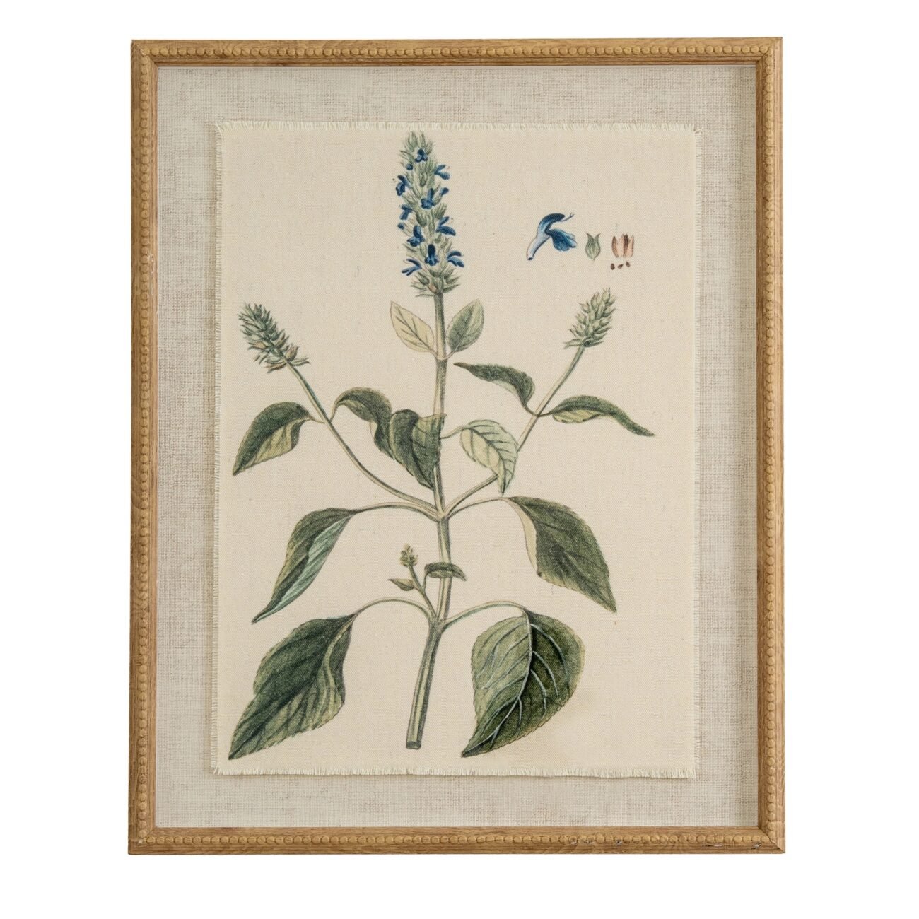 Flora & Fauna Collection Salvia On Linen In Beaded Frame Flora & Fauna Collection Salvia On Linen In Beaded Frame