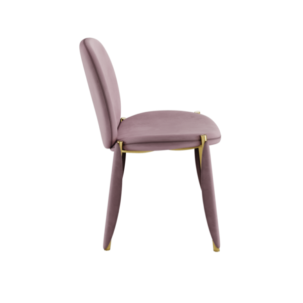 Mantis Dining Chair - Image 4