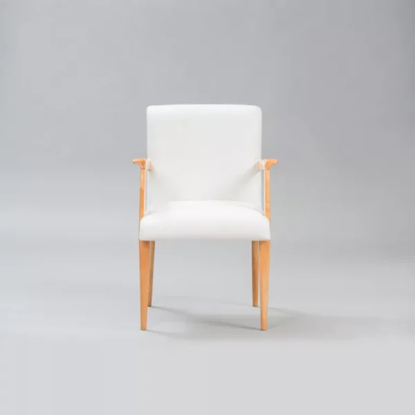Mid-Century Modern Armchair by Guglielmo Ulrich - Image 4