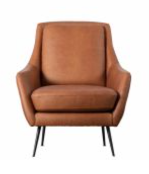 Leather Armchair A Cozy Companion