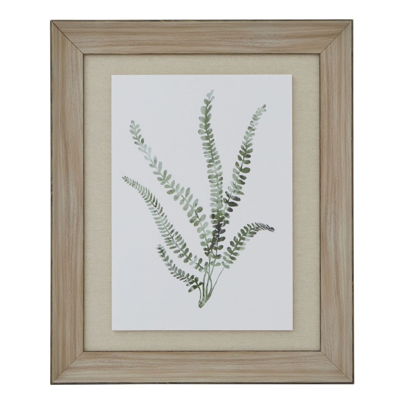 Watercolour Delicate Fern In Washed Wood Frame Watercolour Delicate Fern In Washed Wood Frame