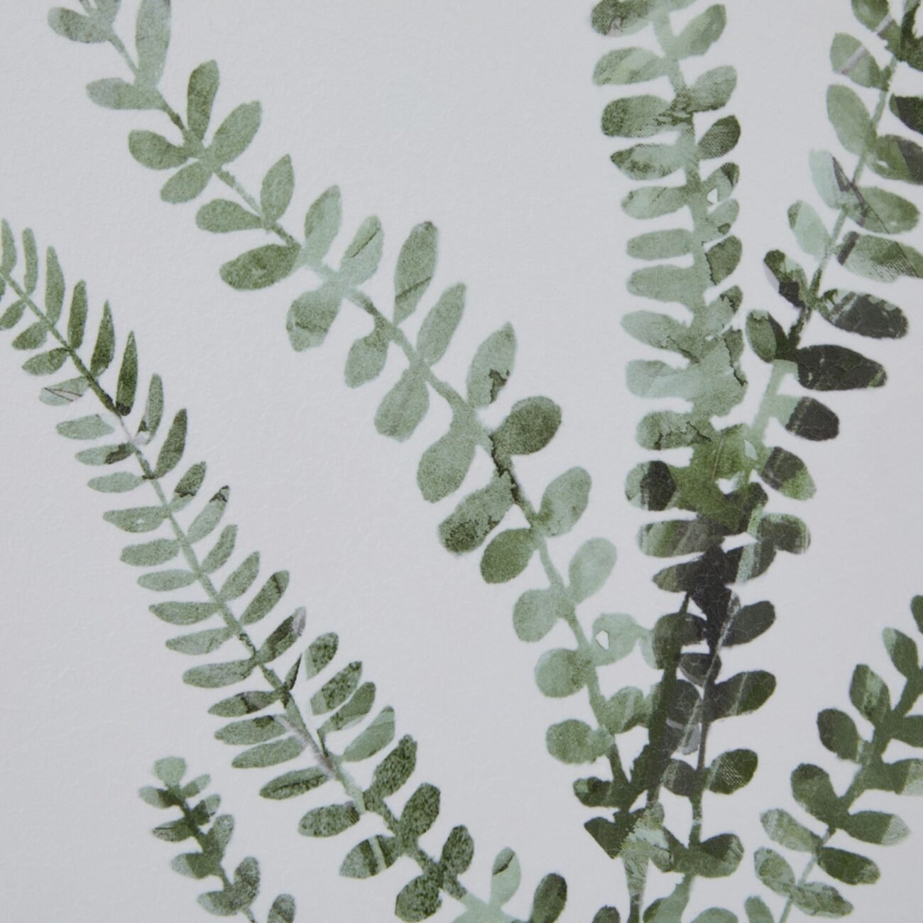 Watercolour Delicate Fern In Washed Wood Frame Watercolour Delicate Fern In Washed Wood Frame