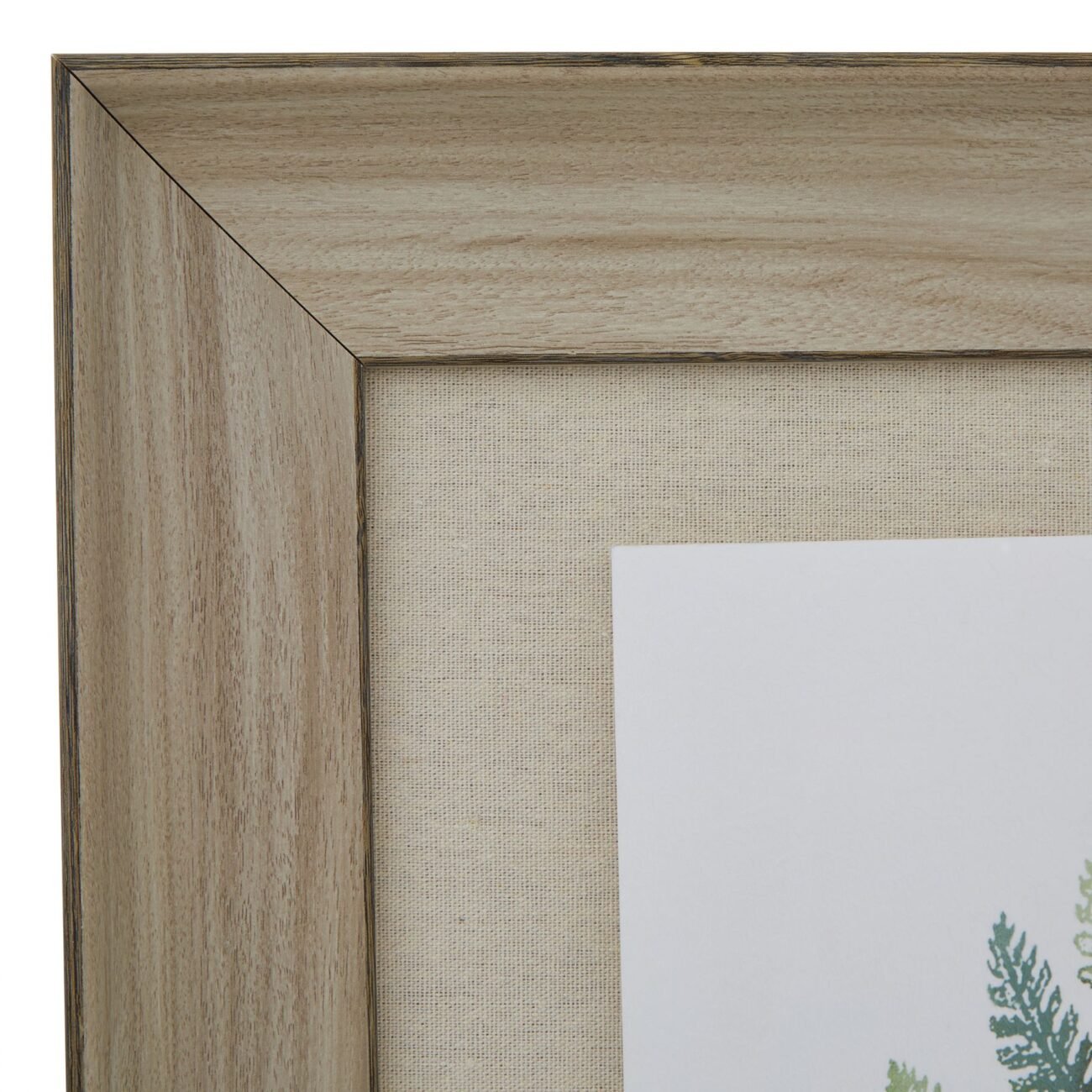 Watercolour Fern Duo In Washed Wood Frame Watercolour Fern Duo In Washed Wood Frame