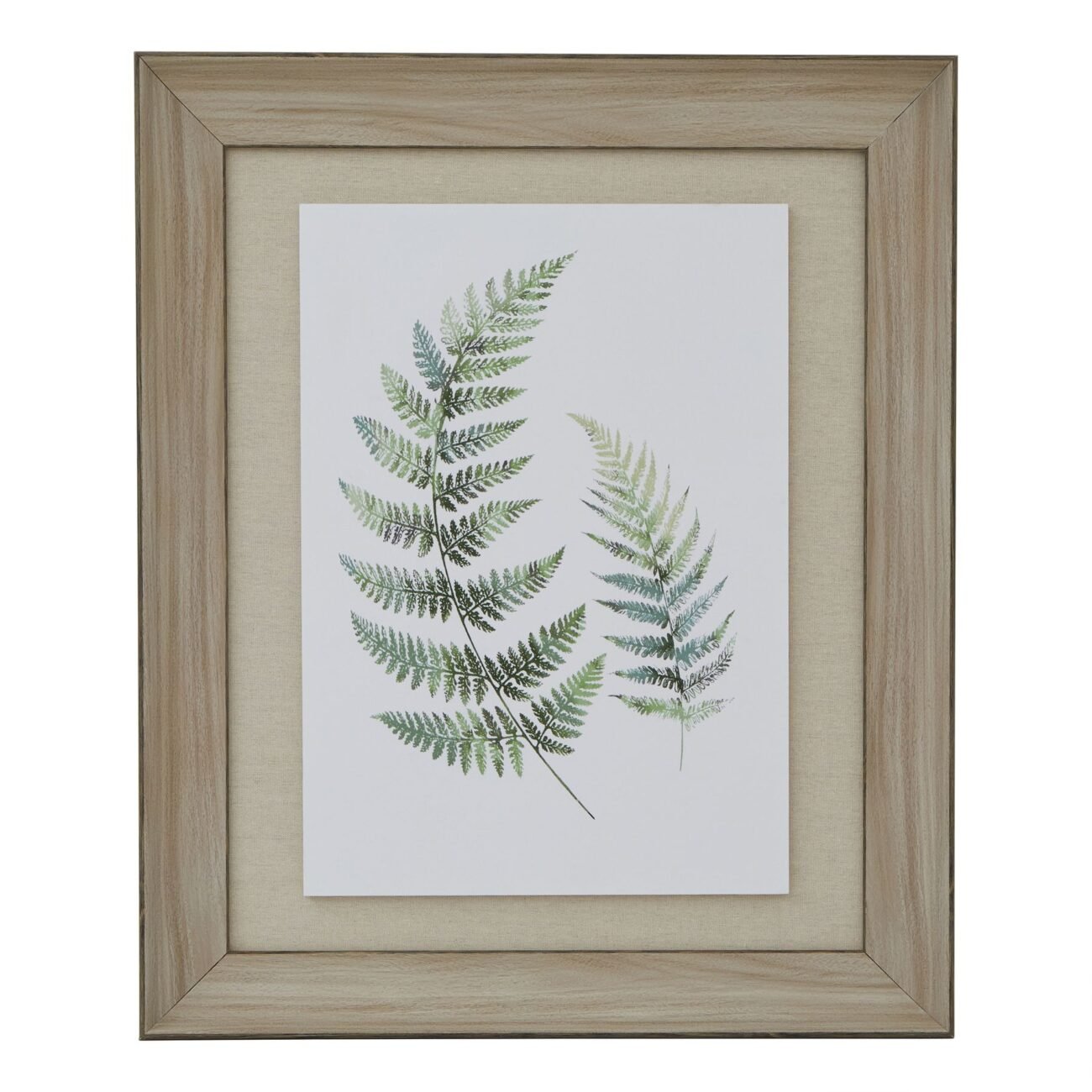Watercolour Fern Duo In Washed Wood Frame Watercolour Fern Duo In Washed Wood Frame