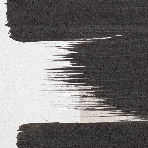 Aegis Framed Canvas Aegis Framed Canvas