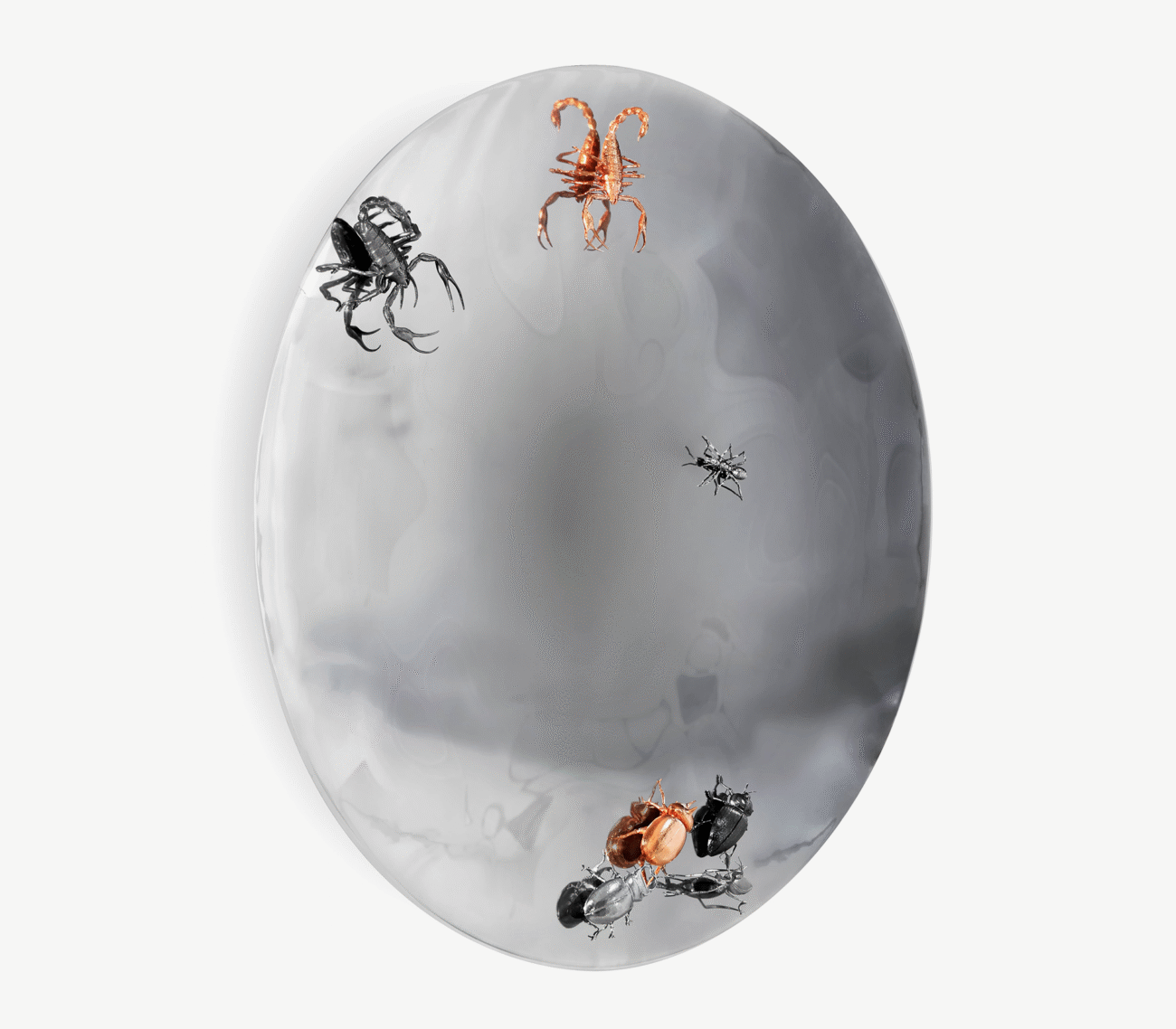 Concave Metamorphosis Mirror