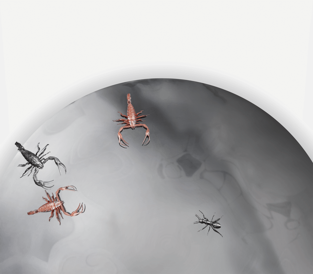 Concave Metamorphosis Mirror