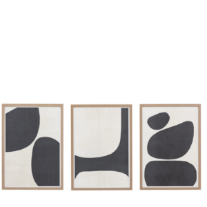 Grain Collection Framed Canvas Set of 3