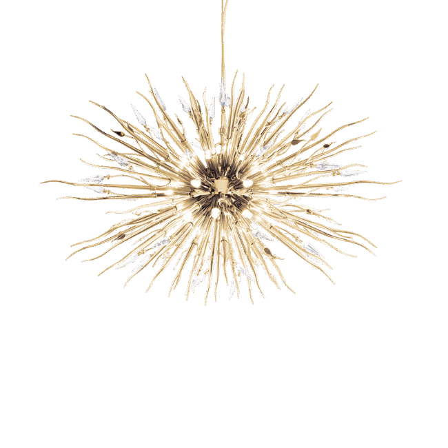 Hemera Suspension 3